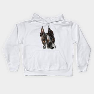 Black and White Boston Terrier Kids Hoodie